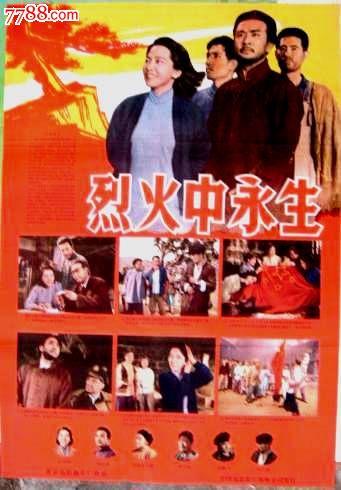 日本身延山大学本科offer